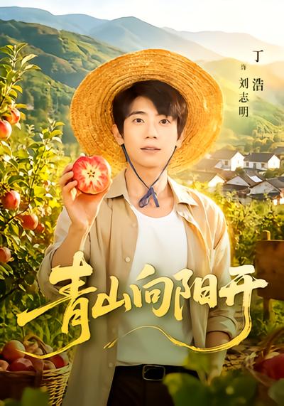 青山向阳开 - 在线观看