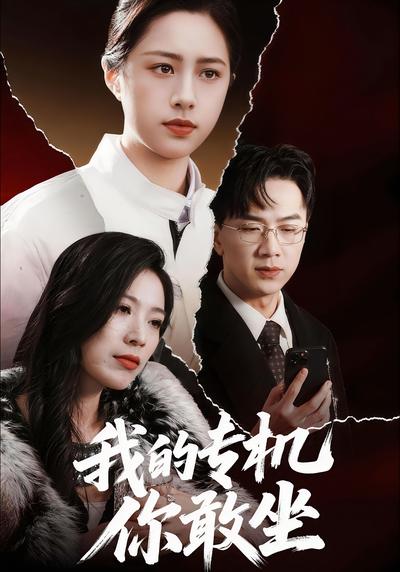 我的专机你敢坐