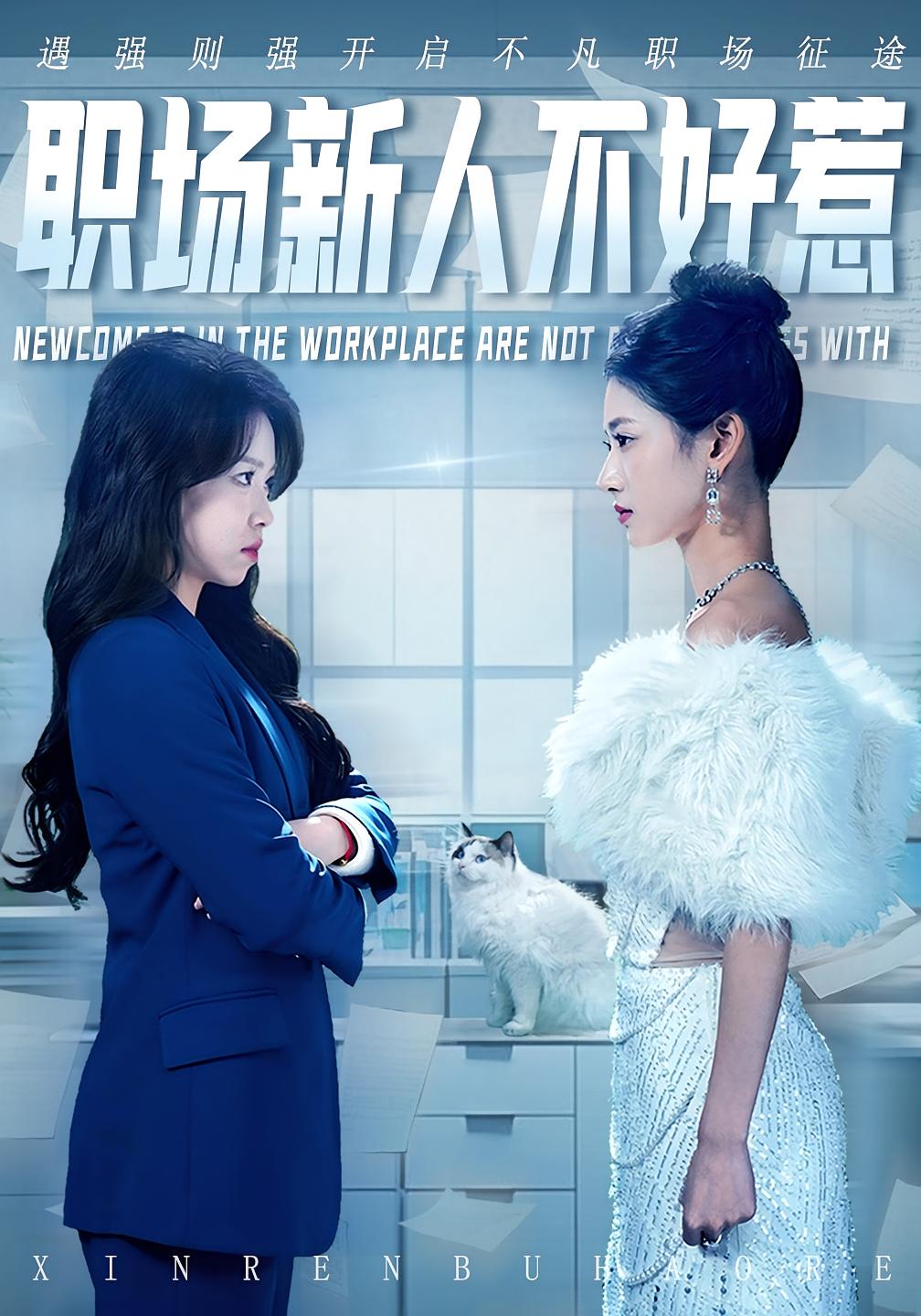 职场新人不好惹