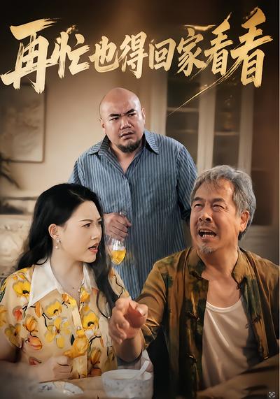 再忙也得回家看看 - 在线观看
