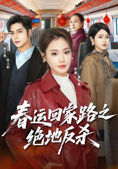 春运回家路之绝地反杀