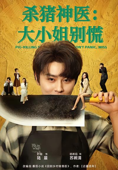 殺豬神醫，大小姐別慌