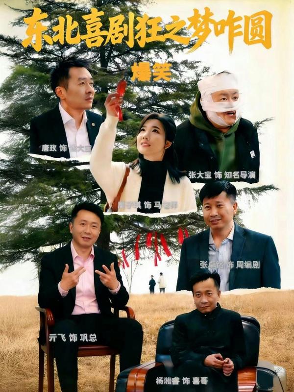 短剧东北喜剧狂之梦咋圆海报