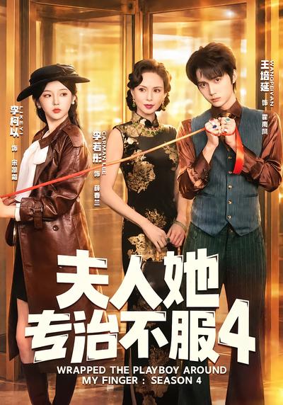 夫人她专治不服4封面