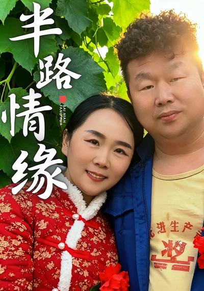 半路情缘