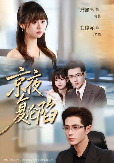 京夜复沦陷 - 在线观看