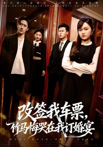 改签我车票，竹马悔哭在我订婚宴