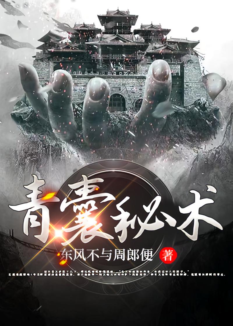 青囊秘术