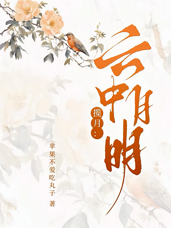 揽月：云中月明