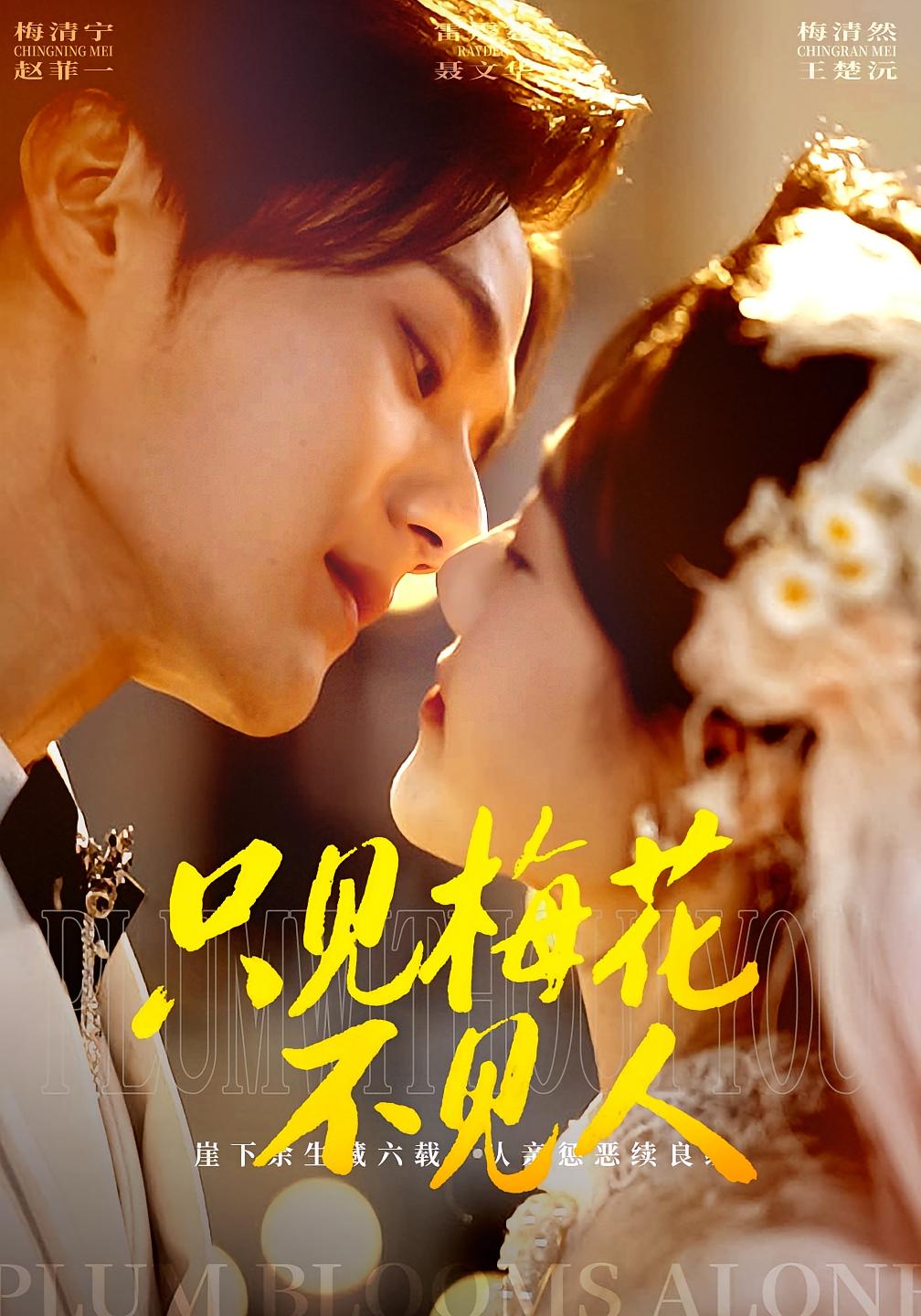 只见梅花不见人