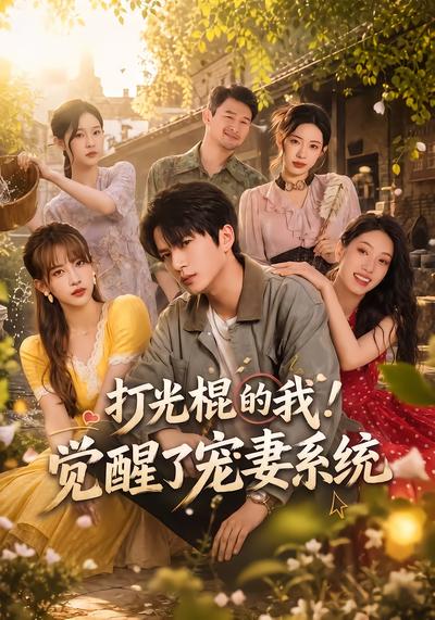 打光棍的我！觉醒了宠妻系统 - 在线观看