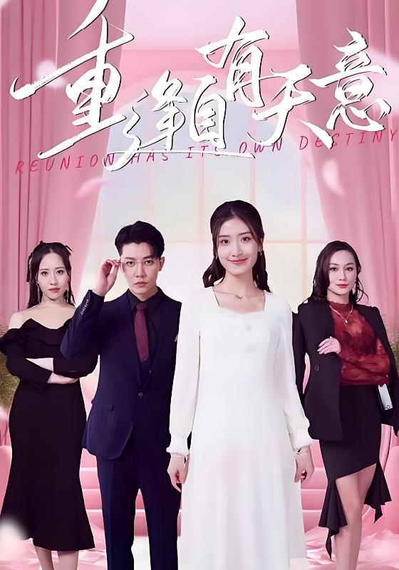 重逢自有天意