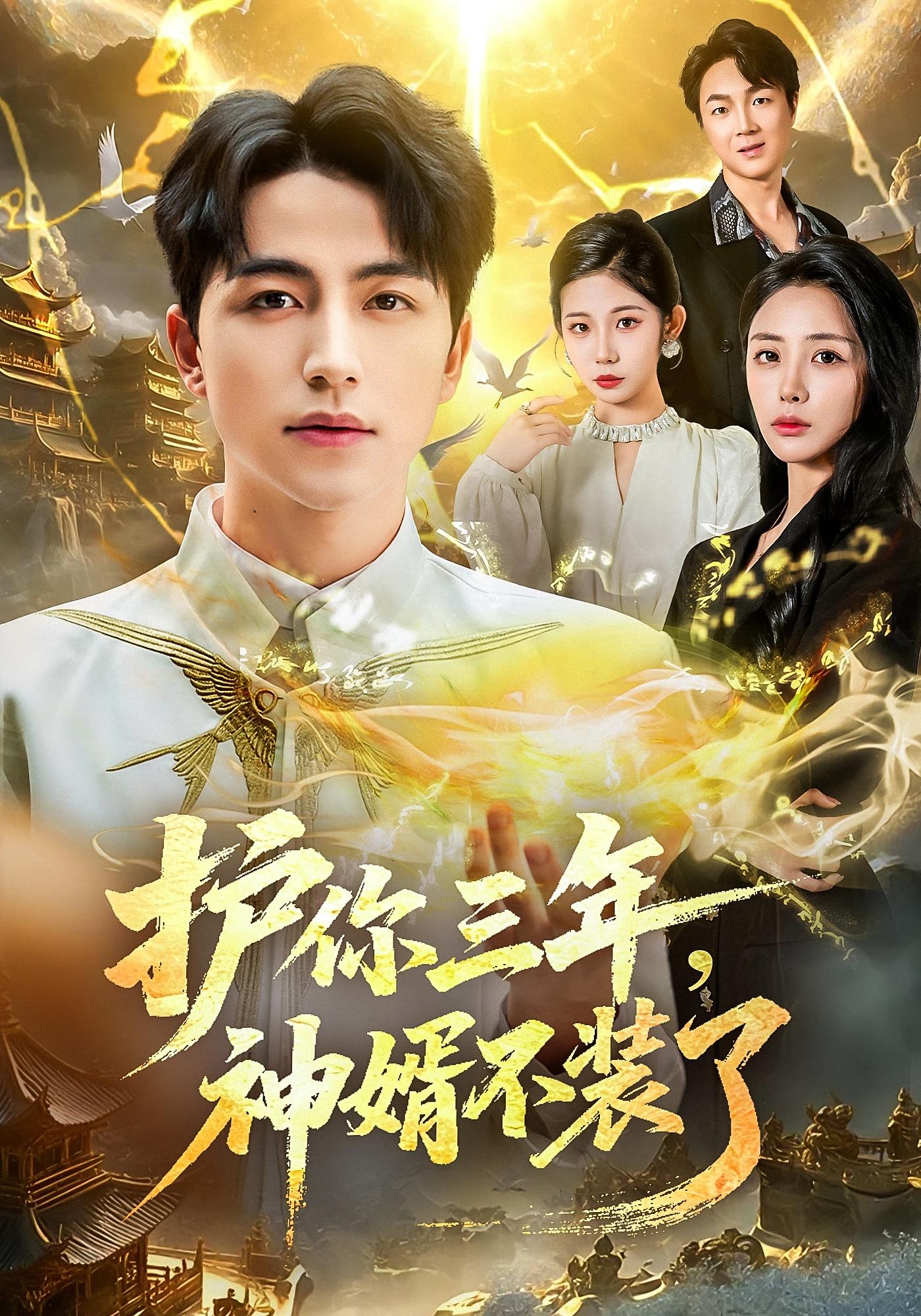 护你三年，神婿不装了