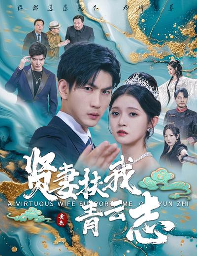 贤妻扶我青云志