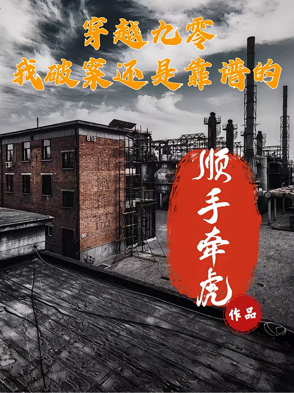 穿越九零，我破案还是靠谱的