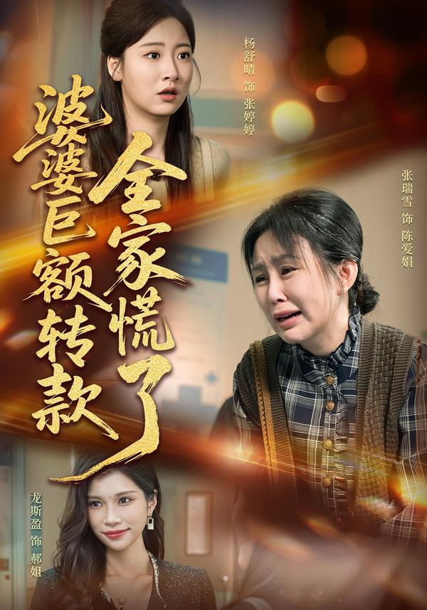 短剧婆婆巨额转款全家慌了海报