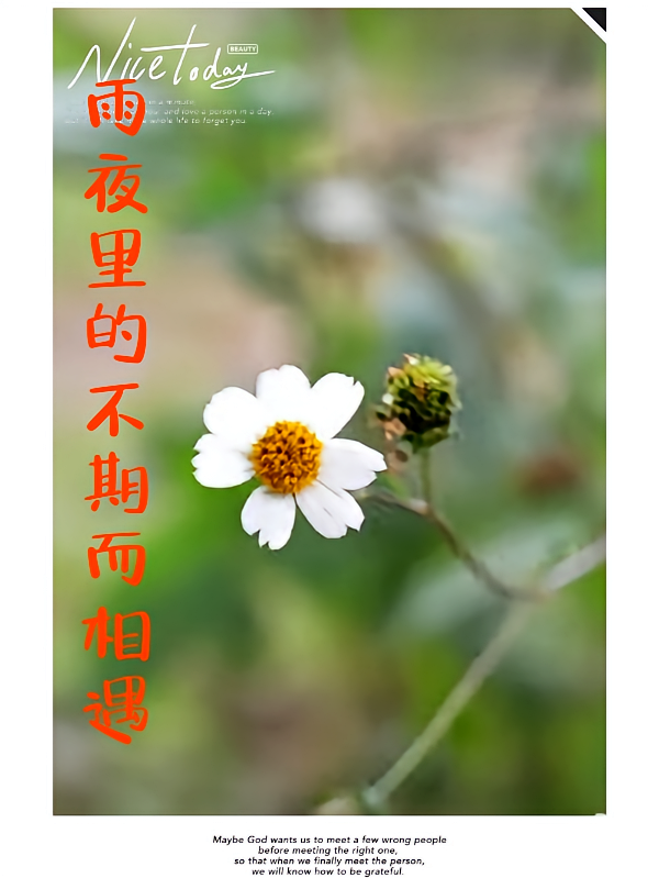 雨夜里的不期而相遇
