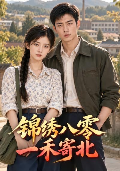 锦绣八零，一禾寄北封面