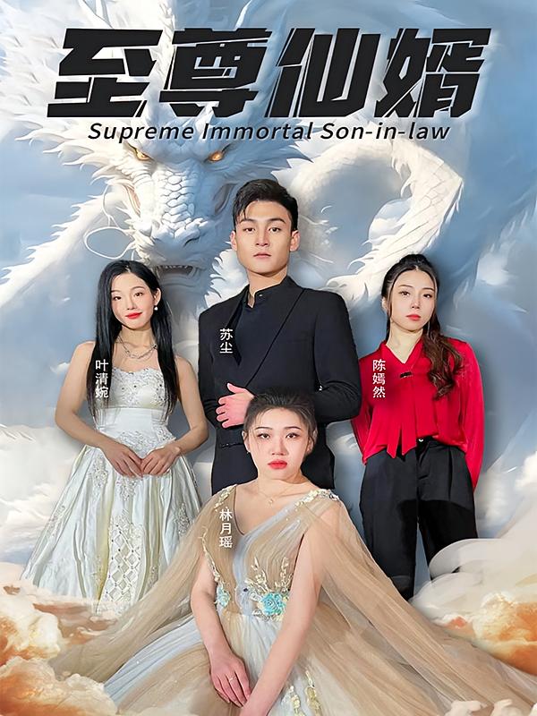 至尊仙婿