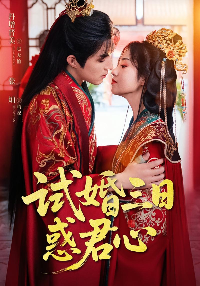 试婚三日惑君心