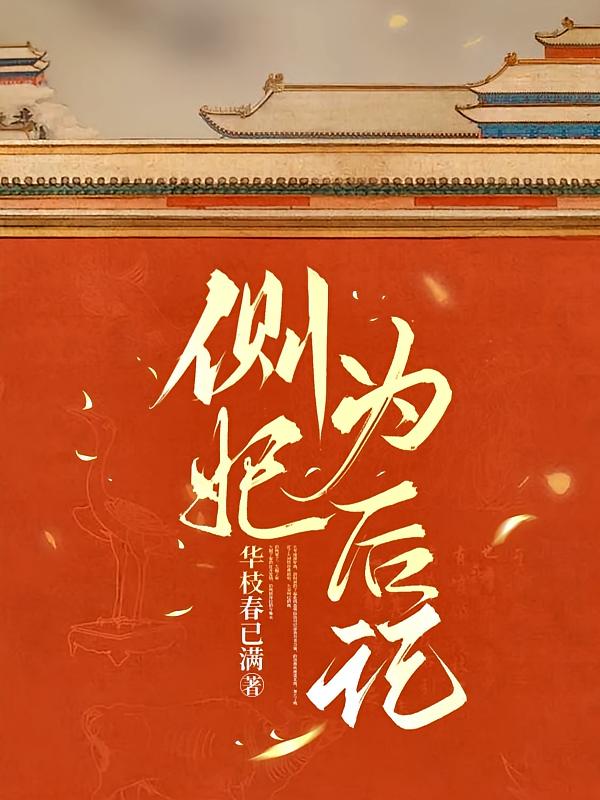 侧妃为后记