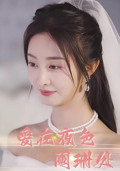 爱在夜色阑珊处