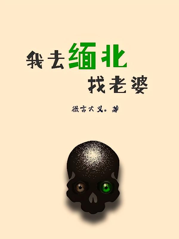 我去缅北找老婆