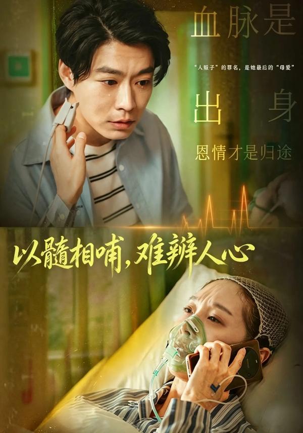 短剧《以髓相哺，难辨人心》海报