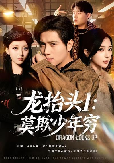 龙抬头1：莫欺少年穷