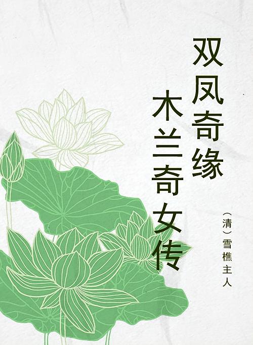 双凤奇缘木兰奇女传