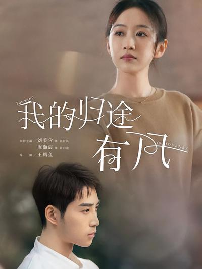 我的归途有风