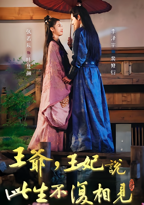 王爷，王妃说此生不复相见