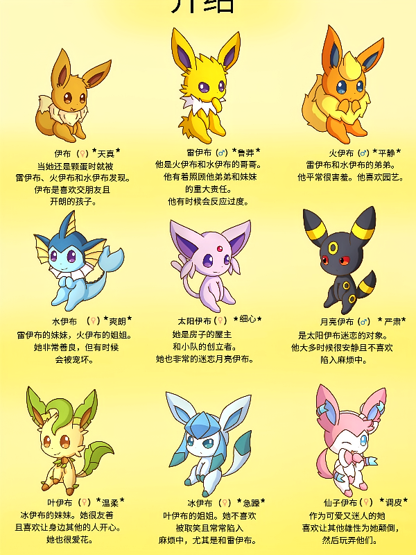 伊布小队资料