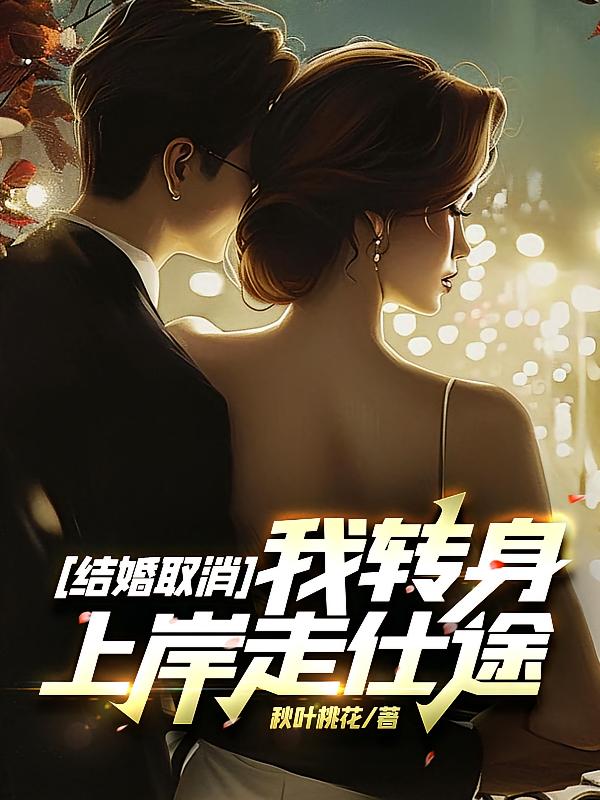 结婚取消，我转身上岸走仕途！