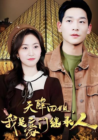 天降四姐，我是豪门继承人