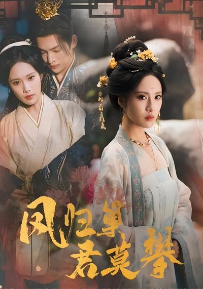 凤归巢君莫攀封面图