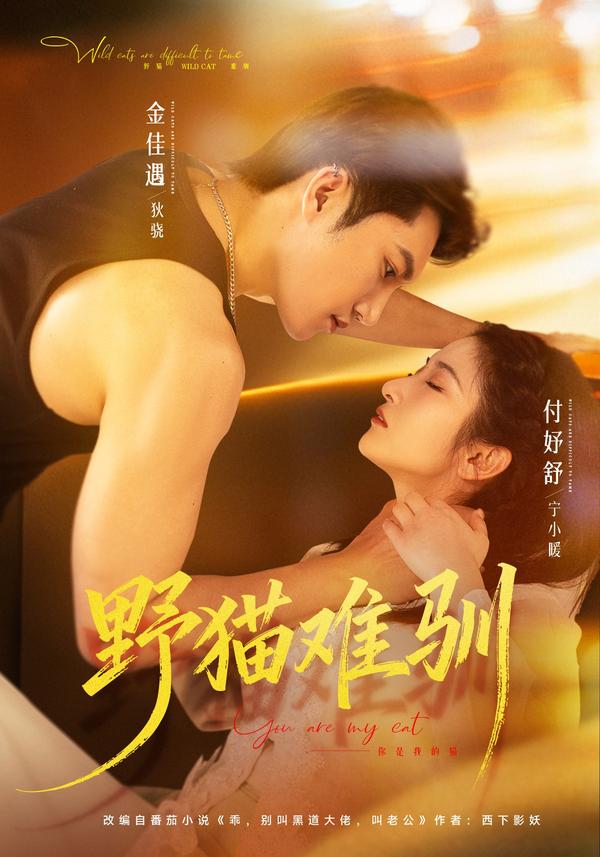 短剧野猫难驯海报