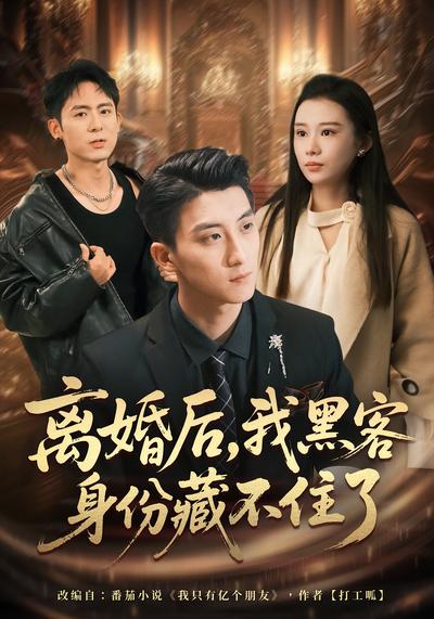 离婚后，我黑客身份藏不住了