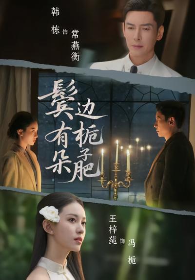 鬓边有朵栀子肥