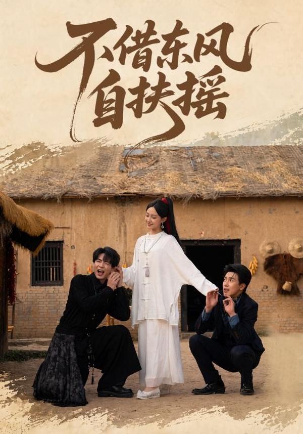 短剧不借东风自扶摇海报