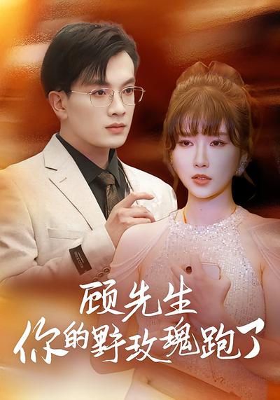 顾先生，你的野玫瑰跑了