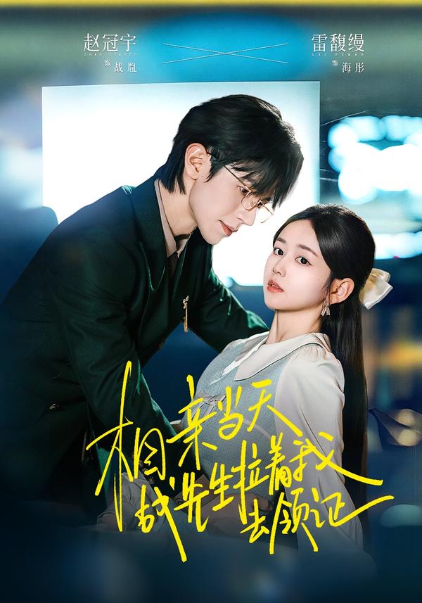 短剧相亲当天战先生拉着我去领证海报