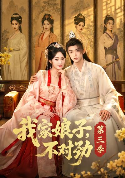 我家娘子，不对劲第三季 - 在线观看