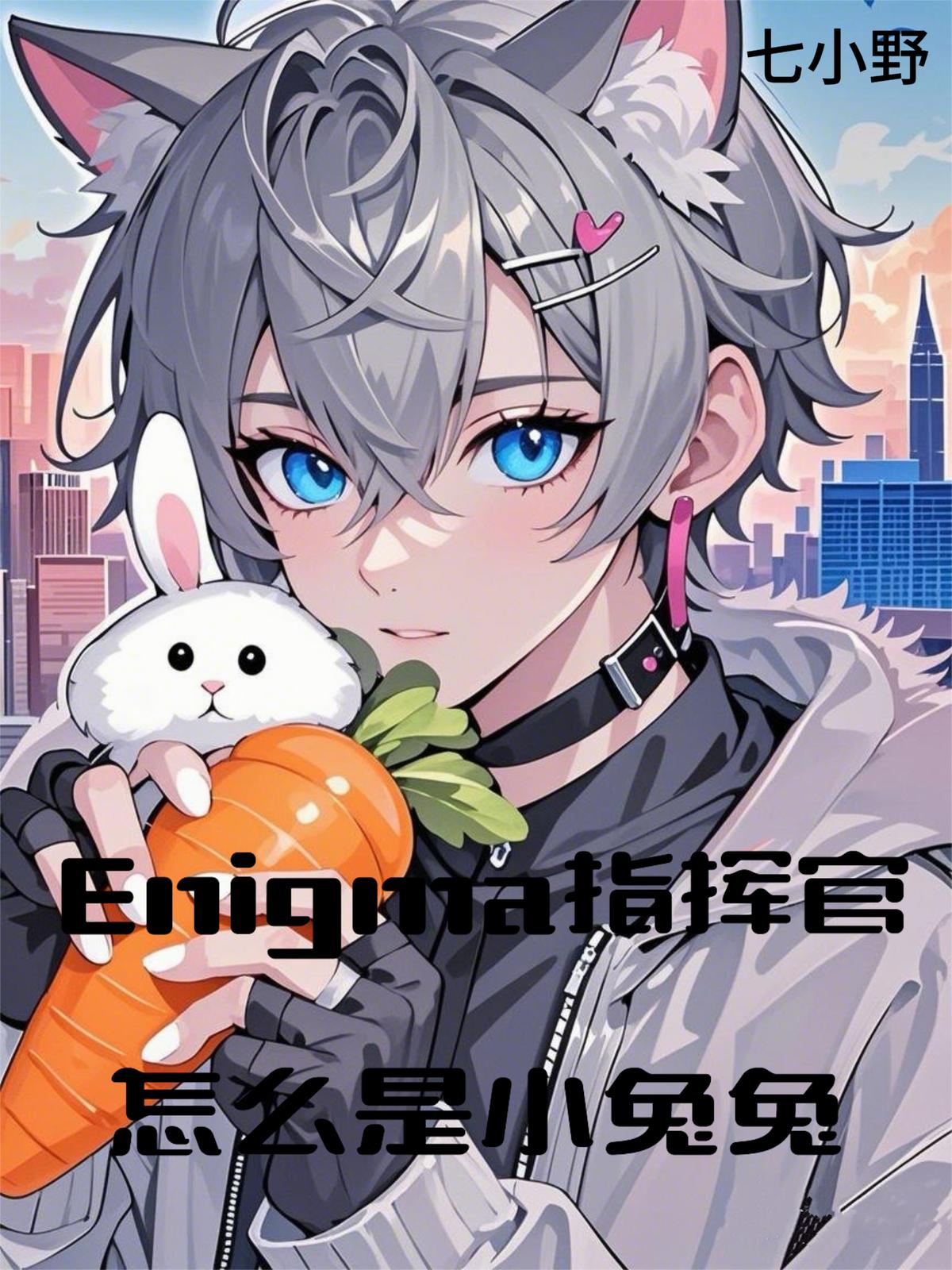 Enigma指挥官怎么是小兔兔