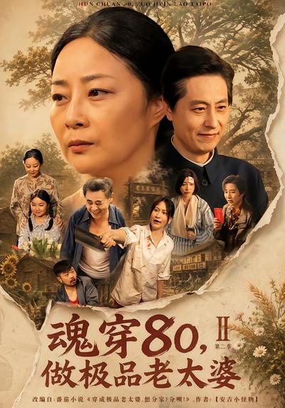 魂穿80，做极品老太婆第二季 - 在线观看