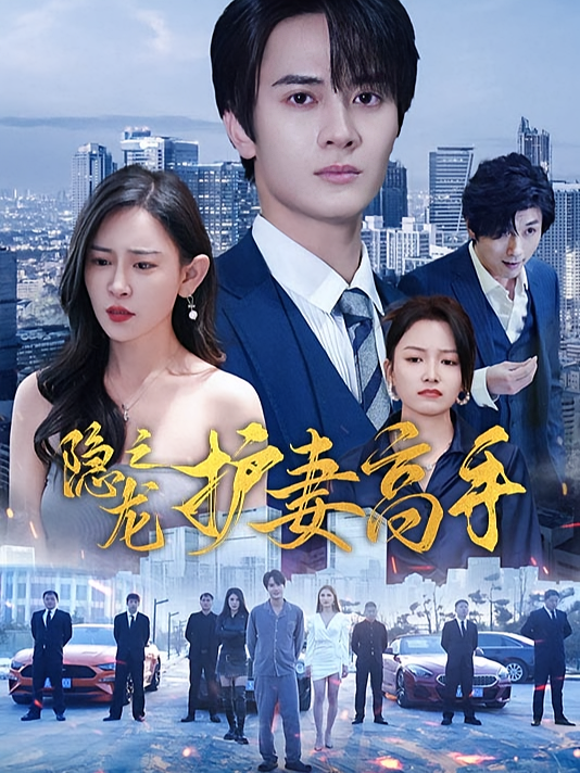 隐龙之护妻高手