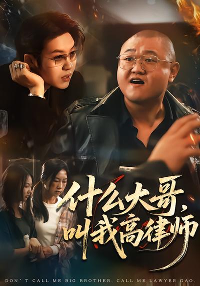 什么大哥，叫我高律师 - 在线观看