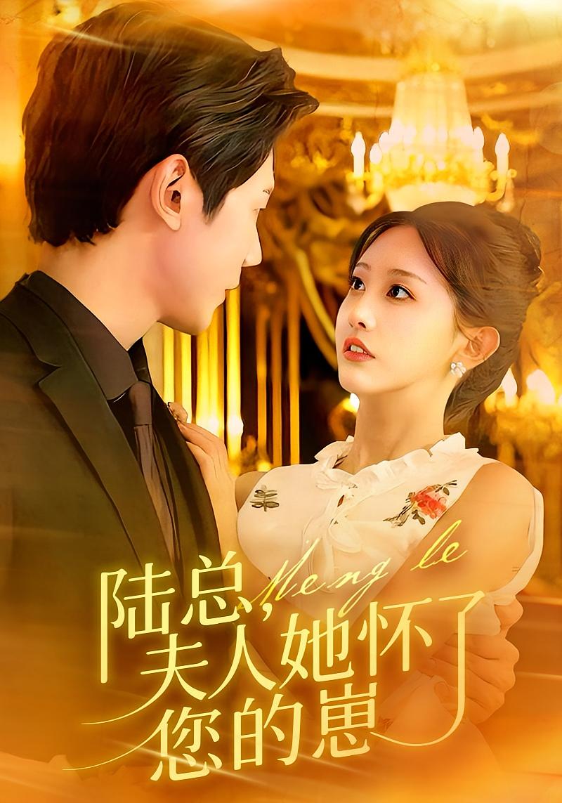 陆总，夫人她怀了您的崽