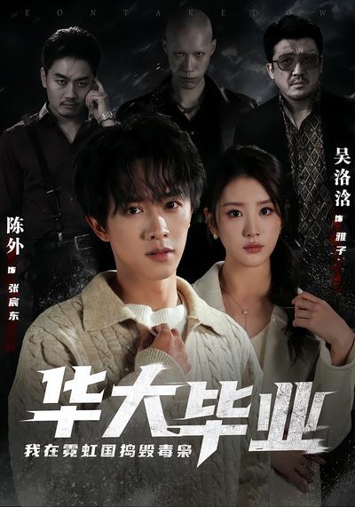 华大毕业，我在霓虹国捣毁毒枭 - 在线观看