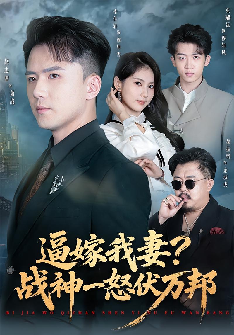 逼嫁我妻？战神一怒伏万邦